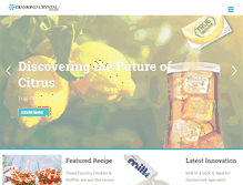 Tablet Screenshot of dcbrands.com